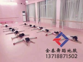 供应徐州舞蹈塑胶地板