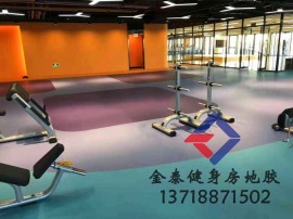 供应天津健身房运动塑胶地板